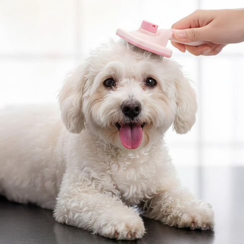 8-Piece Set Haminway Dog Grooming Kit Pink | Pet Brush for Shedding, Dematting, Nail Clipping & Bathing | Ideal