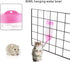 Guardians Hamster Water Bottle - Automatic Drinking Bottle with Food Container Base for Small Animals (80ml)