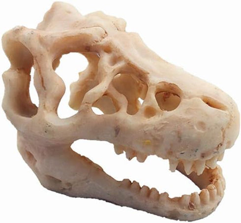 Aquarium Decoration - Skeleton Hole Resin Dinosaur Skull Ornament for Fish Tank & Reptile House