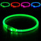 Led Dog Collar - BSEEN USB Rechargeable Flash Necklace Light for Pet Safety, Green