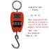Hanging Weight Scale Industrial Heavy Duty for Farm, Hunting, Bow Draw Weight, Big Fish & Hoyer Lift with Accurate Sensor Digital, Professional (440 LBS)2