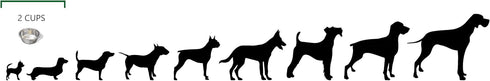 Greendale Set of 2 Stainless Steel Dog Bowls - 2 Cup Capacity, Perfect for Food & Water