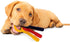 Generic (7" Puppy Teething Keys, Rings or Pacifiers Durable Dog Dental Health Colorful Chew Toys Small Teething Keys)