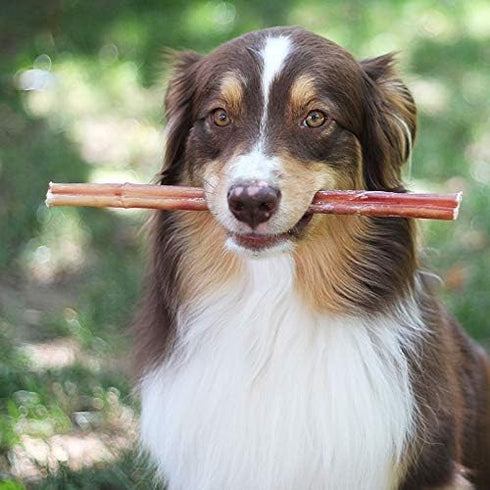 EcoKind Pet Treats All-Natural Premium Bully Sticks for Dogs - 16 Oz. Bag, Delicious Protein Rich Chews