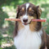 EcoKind Pet Treats All-Natural Premium 6 Inch Bully Sticks for Dogs | 16 Oz. Bag
