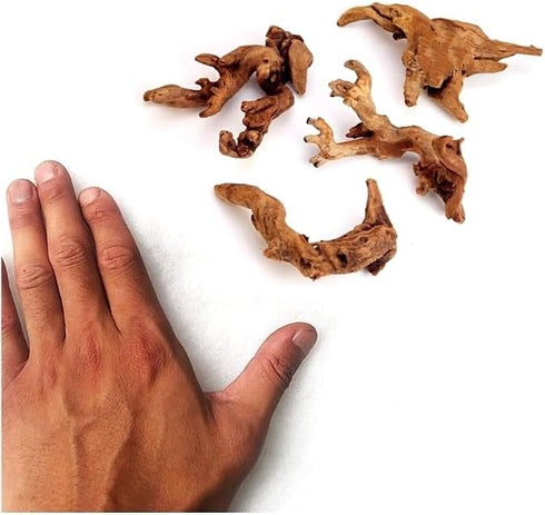 Set of 4 Small Natural Driftwood 4-6'' for Aquarium Styling, Reptile Tank Decor (Pack of 4)