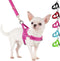 SlowTon No Pull Small Dog Harness and Leash Set, Puppy Soft Vest Harness, Reflective Lightweight Combo for Small Dogs