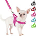 SlowTon No Pull Small Dog Harness and Leash Set, Puppy Soft Vest Harness, Reflective Lightweight Combo for Small Dogs
