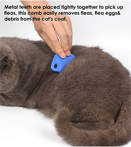 Patty Both Pet Lice & Flea Removal Comb/Brush, Stainless Steel Teeth, Sturdy Plastic Handle for Easy Cleaning (Blue)