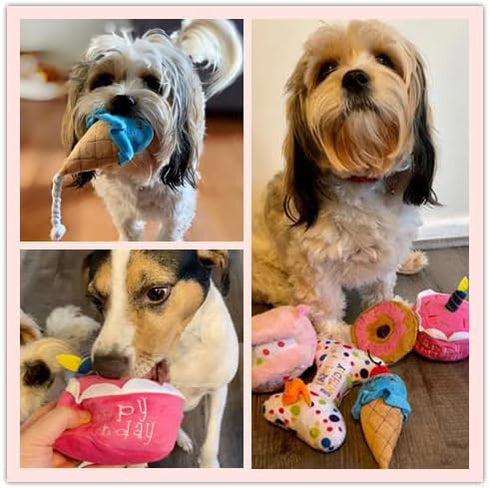 DoreenBow 5 Pack Dog Birthday Toys - Squeaky Birthday Cake Chew Toys for Small Dogs - Plush Birthday Box Gift