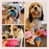 DoreenBow 5 Pack Dog Birthday Toys - Squeaky Birthday Cake Chew Toys for Small Dogs - Plush Birthday Box Gift