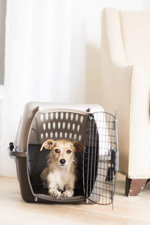 Petmate Two-Door Small Dog & Cat Carrier, Top or Front Loading, 19 inches, Made with Recycled Materials, White