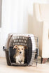 Petmate Two-Door Small Dog & Cat Carrier, Top or Front Loading, 19 inches, Made with Recycled Materials, White