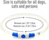 LED Dog Collar Light Up, USB Rechargeable TPU Glow Safety Basic Collars for Large Medium Small Dogs (Blue)