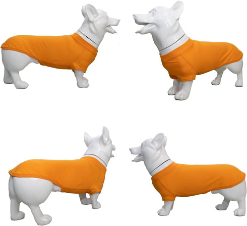 Lovelonglong Pet Clothing, Dog Costumes Blank T-Shirt for Dachshund & Corgi Dogs (100% Cotton, Orange, D-L)