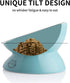Sweejar Ceramic Raised Cat Bowls - Turquoise | Slanted Cat Dish for Food or Water, Elevated Porcelain Pet Feeder Bowl