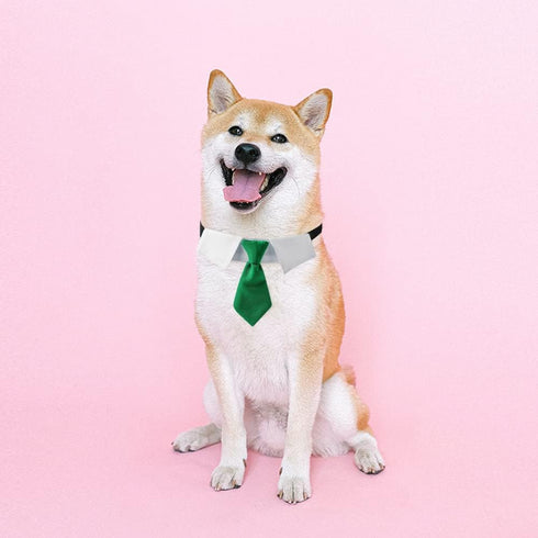 Dog Collar, Soft Polyester Bow Tie with Metal Buckle for Medium, Large, and Small Boys and Cats (Green/White)