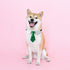 Dog Collar, Soft Polyester Bow Tie with Metal Buckle for Medium, Large, and Small Boys and Cats (Green/White)