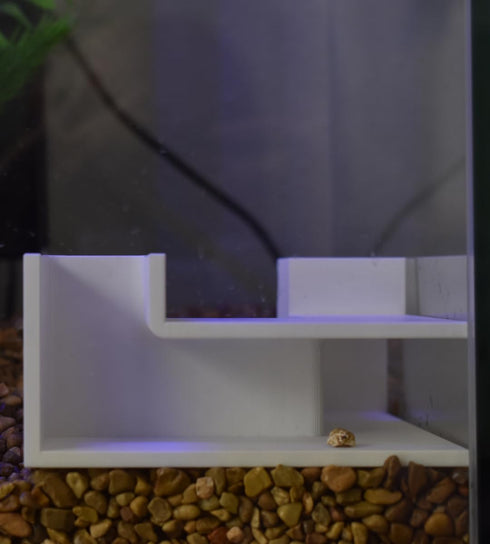 Aquarium Underground Tunnel, Unique Fish & Shrimp Hideout, Made in USA (Corner Tunnel, White)
