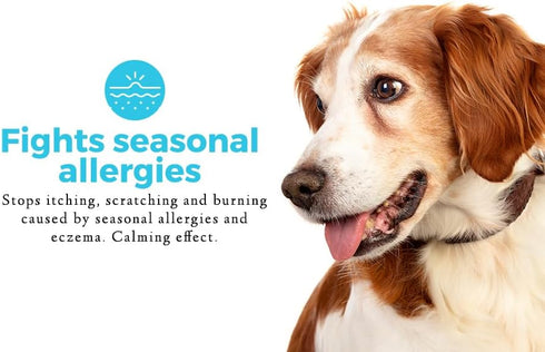 Pet Chef Respiratory Immune + Dog Allergy Remedy, Itch Relief, Anti Itching for Dogs, Skin Rashes Prevention