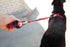 EzyDog Cujo Shock Absorbing Bungee Dog Leash, Reflective Trim, Padded Pull Handle, 25", Black
