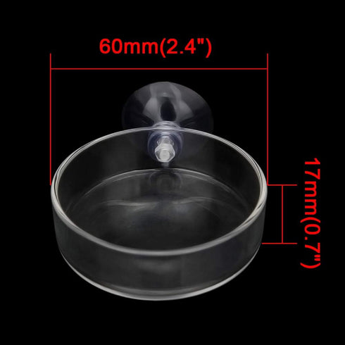 Senzeal 2PCS Shrimp Feeding Dish, Glass Aquarium Fish Tank Reptiles Round Feeder Bowl with Suction Cup