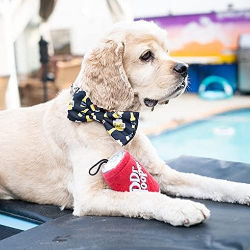 Huxley & Kent Dr Pooper Dog Toy (Large) | Power Plush with Squeaker | Funny Cute Dog Toy