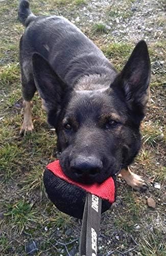 Dingo Gear Dog Tug Ball, 4" for Strong Tugger, Bite Training, Fun, Red S02780
