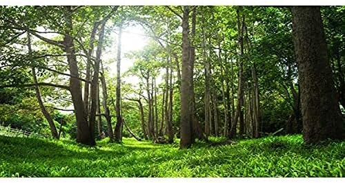 AWERT 30x12 inches Tropical Aquarium Background, Forest Terrarium Background, Green Tree Reptile Habitat Durable