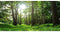 AWERT 30x12 inches Tropical Aquarium Background, Forest Terrarium Background, Green Tree Reptile Habitat Durable