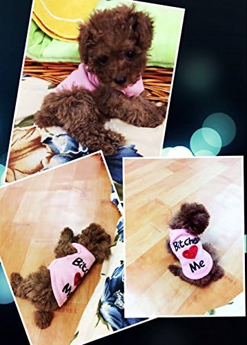 DroolingDog Pet Dog Clothes - Puppy Shirt Dog Sweater "Bitches Love ME" T-Shirt for Small Dogs, Pink