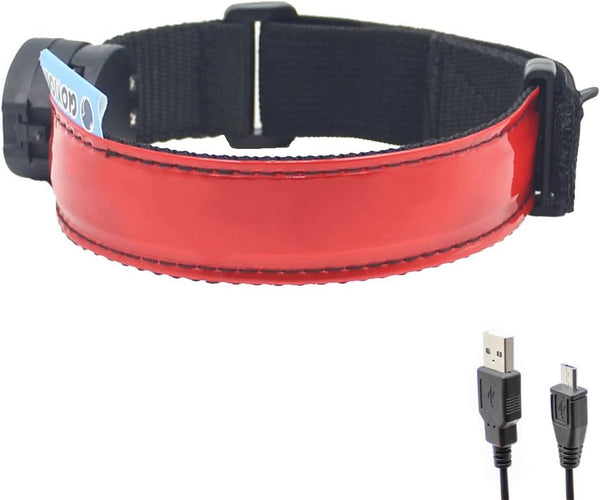 Glovion LED Armband, Reflective Running Gear, Rechargeable