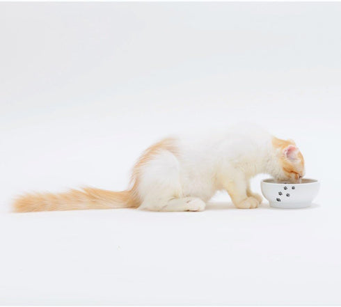 Necoichi Ceramic Cat Bowls for Indoor Cats, Whisker Friendly, Anti-Spill Feeding, Cute Cat Dishes