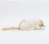 Necoichi Ceramic Cat Bowls for Indoor Cats, Whisker Friendly, Anti-Spill Feeding, Cute Cat Dishes
