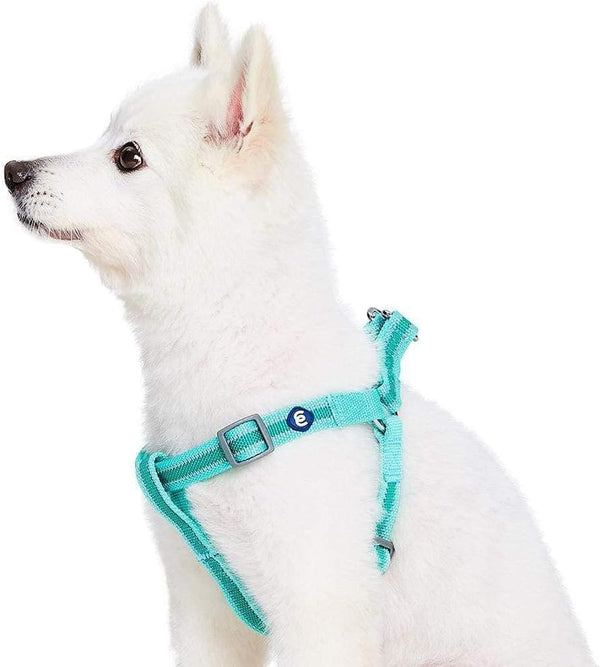 Blueberry Pet Essentials Step-in Reflective Dog Harness, Minty Green, Adjustable Small Harness for Dogs, Chest Girth