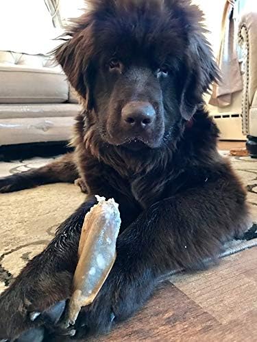EcoKind Pet Treats Jumbo Cow Ear Dog Treats, 100% All-Natural Beef Chews, 6 Ears