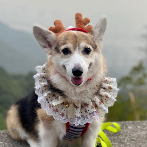 AOPET Stuffers Pet Christmas Sweet with Bell Bandana CostumeCat Dog Cute Lace Princess Saliva Towel Dog bib Scarf bib