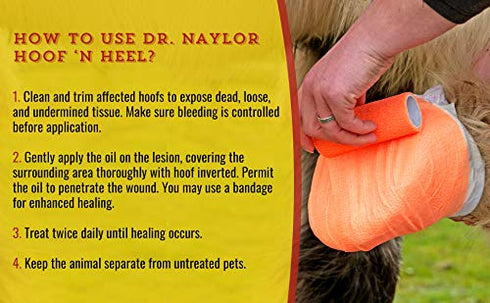 16oz, 1-pack Dr. Naylor Hoof 'N Heal, Hoof Rot Foot Rot Wound Care, Sheep Goat Cow Horse