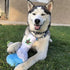 Puppy Chiefer 3000 Funny Dog Toys, Plush Squeaky Weed for Medium, Small, Large Dogs, Cute Birthday Gifts