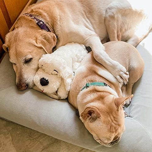 SmartPetLove Snuggle Puppy Heartbeat Stuffed Toy for Dogs | Pet Anxiety Relief and Calming Aid - Golden