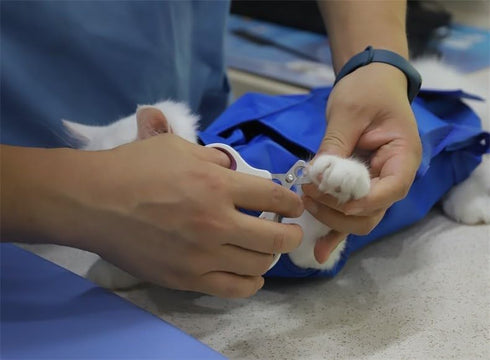 Trimming 17" 10" 8-12 lbs Pet Grooming Bag for Nail & Anti-Scratching Restraint Cat/Dog for Claw Care, Medical Exams, L