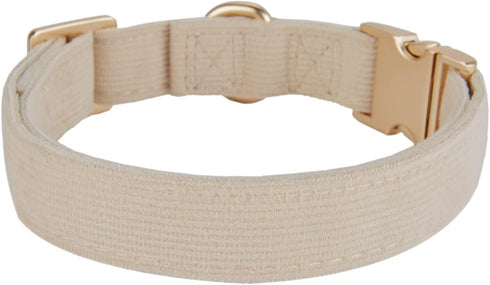 Soft Corduroy Dog Collar - High Grade Metal Buckle for Small Dogs (White, Small: 10-15")