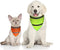 Encell Set of 2 Dog Reflective Scarf Safety Pet Bandana, Orange, Medium Size