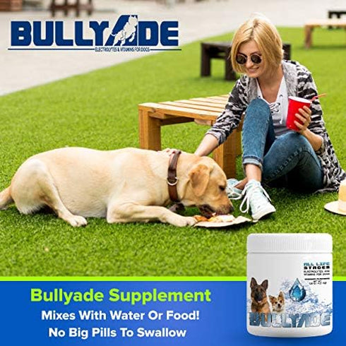 Natural Dog Supplement with 18 Vitamins & Minerals, Mixes with Water or Food (Chicken)