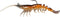 Z-Man PrawnstarZ Soft Plastic Shrimp