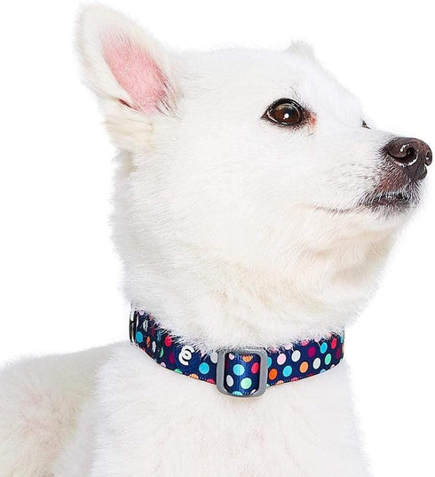 Blueberry Pet Essentials Rainbow Polka Dots Adjustable Dog Collar, Small, Neck Size 12"-16"
