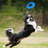 Nerf Dog Tire Flyer Outdoor Dog Toy - 10 Inch Flying Disc for Medium and Large Dogs, Blue