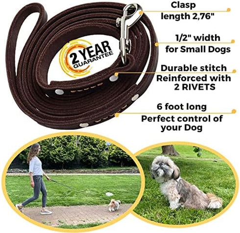 ADITYNA Premium Leather Dog Leash - 6 ft, Heavy-Duty, Soft & Strong for Small/Medium Dogs, Perfect for Walking,