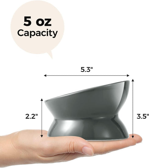 Elevated Cat Food Bowl, 5 Oz Ceramic Raised and Tilted Water Bowl, Anti-Vomiting Dishes for Small Dogs, Kittens