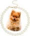 Madison Tyler Dog Pearl Necklace, Durable Cute Fashion Pet Collar for Dogs, Light Pearl Jewelry 19 inches